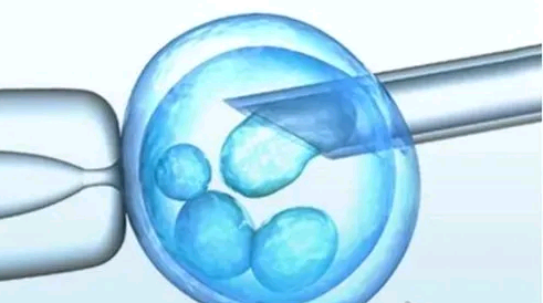 北京供卵试管婴儿供卵试管怀孕|供卵三代试管费用