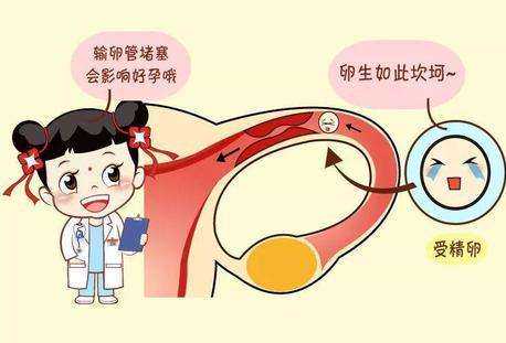 广州专业代孕哪家好,试管婴儿优生3法宝：PGD、PGS、NIPT，备孕爸妈要分清_双角
