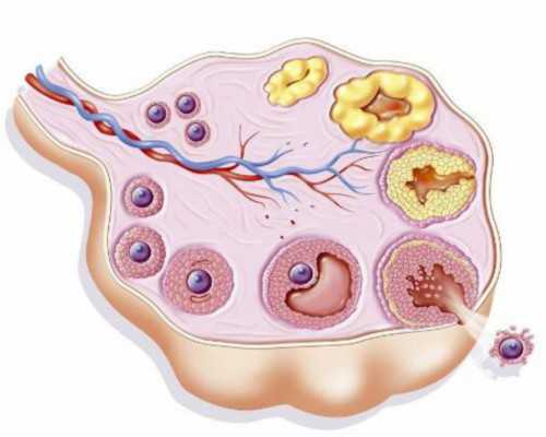 广州供卵代生公司,北京试管婴儿最好的医院_广州医院——杭城专业送子医院