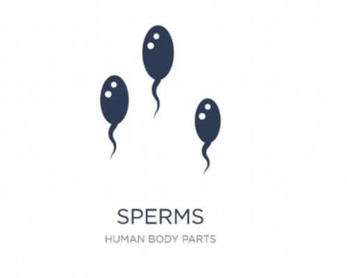 地下供卵试管电话_最大的供卵机构,山大生殖医院供卵试管(山大生殖供卵成功短