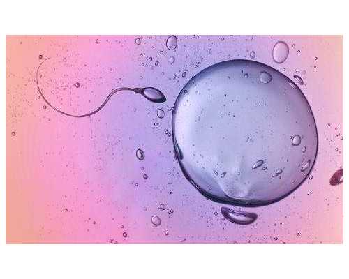 胚胎移植后五大误区，你都了解吗？~人工助孕