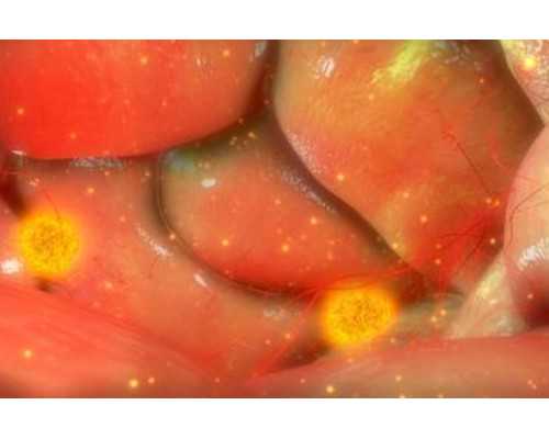 广州供卵生子医院,广州地下供卵骗局有哪些_小狗漫画萌图片