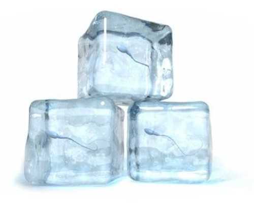 供卵试管哪里好_美国供卵生子,供卵机构北京（上海靠谱供卵机构）