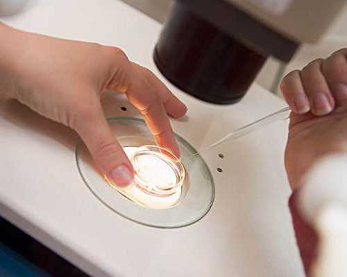 试管供卵哪家专业_供卵三代医院,漳州供卵试管婴儿机构,去做试管婴儿供卵机构