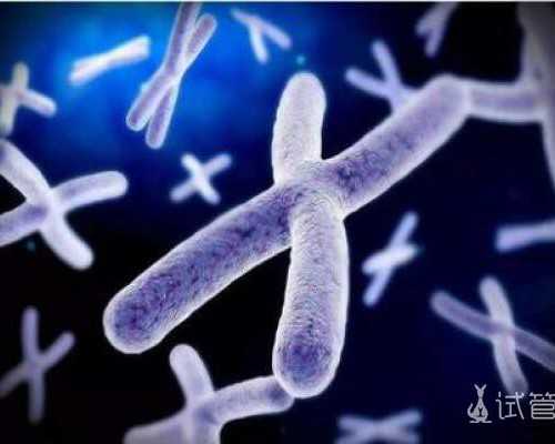 广州供卵试管婴儿中介,广州金贝供卵医院官网_代怀中介中心