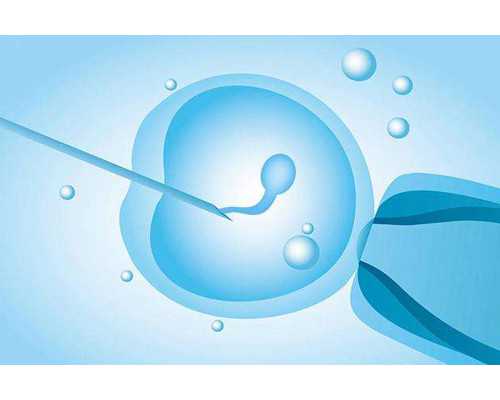 广州哪个医院供卵,日本试管婴儿医院前五名，有哪些优势？-试管婴儿取卵前后