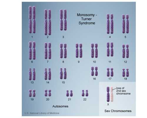 广州卵子库供卵费用清单?,2026广州供卵试管婴儿费用清单如下：