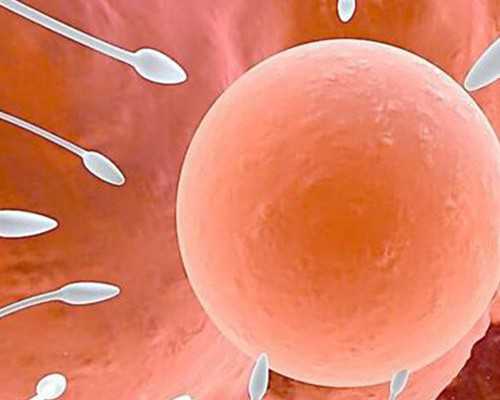 乳头疼会不会有怀孕的症状（乳头痒）~试管供卵生子