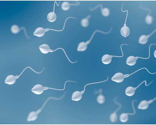 泰国供卵_供卵家庭,2026
年天津官方供卵助孕机构更新，这家供卵试管婴儿医院