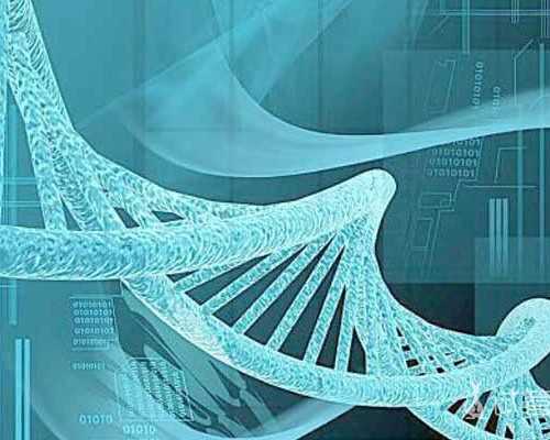 广州供卵生子医院,广州供卵试管受骗经历-天下手游宠物最高品质